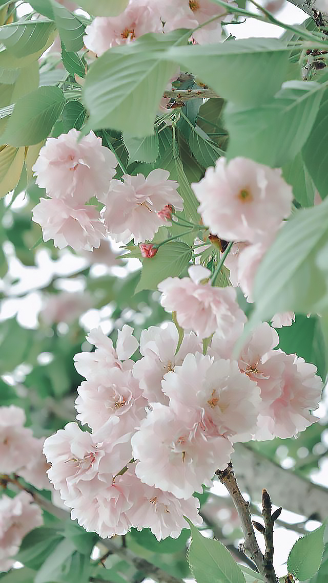郝媛媛-2.jpg