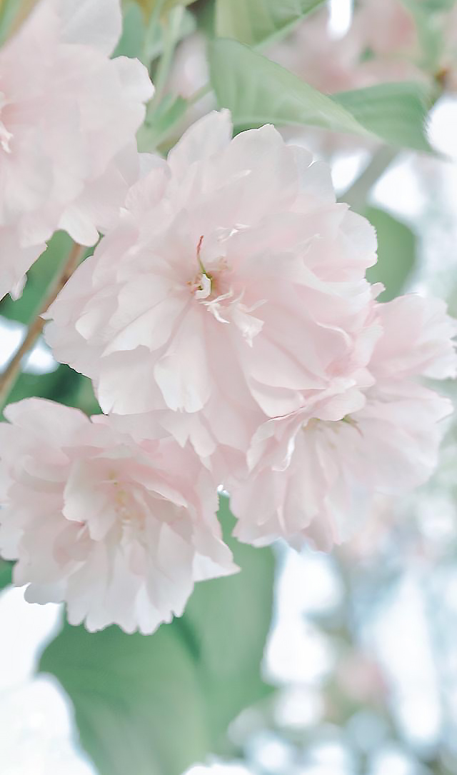 郝媛媛-3.jpg